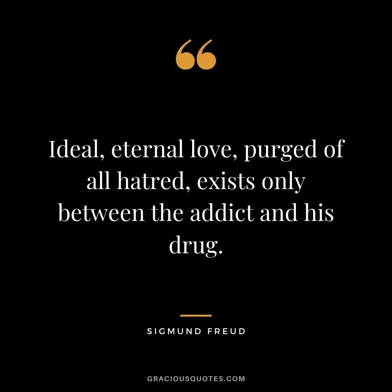 Ideal, eternal love, purged of all hatred, exists only between the addict and his drug.