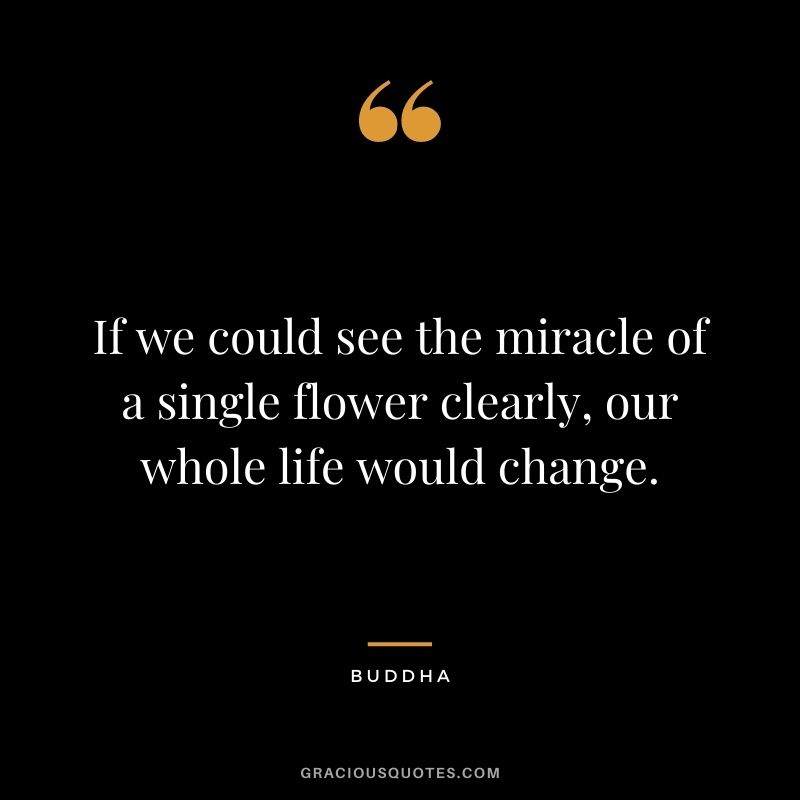 If we could see the miracle of a single flower clearly, our whole life would change. - Buddha
