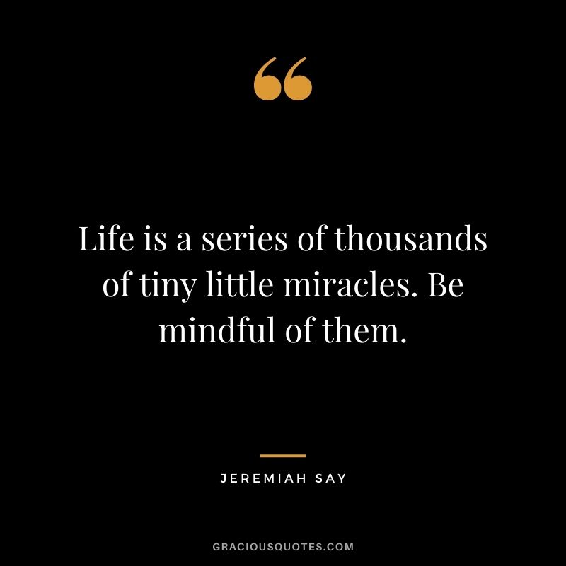 Life is a series of thousands of tiny little miracles. Be mindful of them. - Jeremiah Say