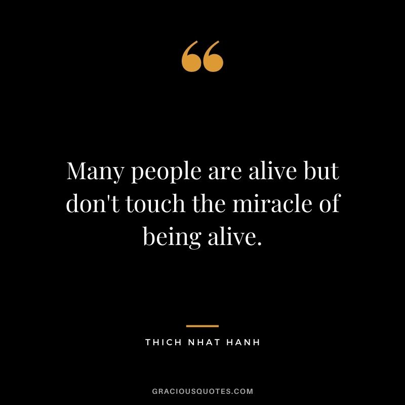 Many people are alive but don't touch the miracle of being alive. - Thich Nhat Hanh