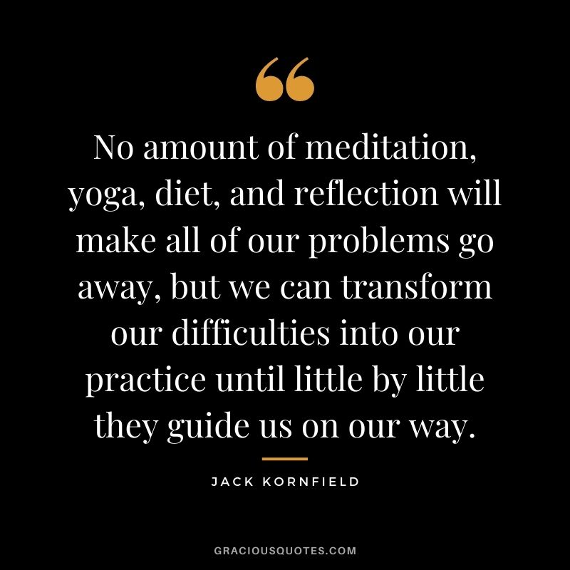 No amount of meditation, yoga, diet, and reflection will make all of our problems go away, but we can transform our difficulties into our practice until little by little they guide us on our way.