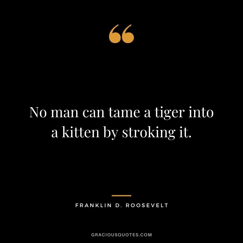 No man can tame a tiger into a kitten by stroking it.