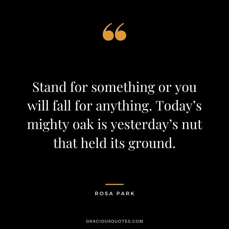 Stand for something or you will fall for anything. Today’s mighty oak is yesterday’s nut that held its ground.