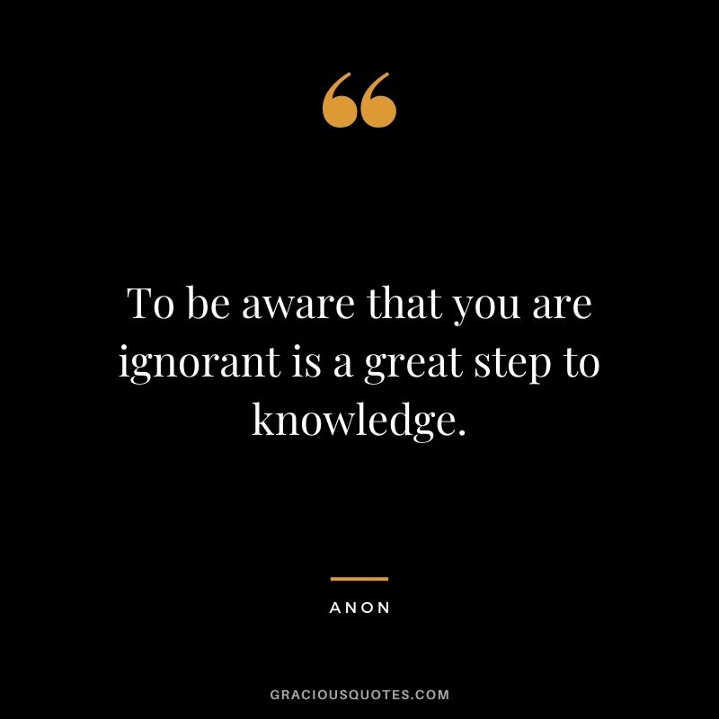 To be aware that you are ignorant is a great step to knowledge. - Anon
