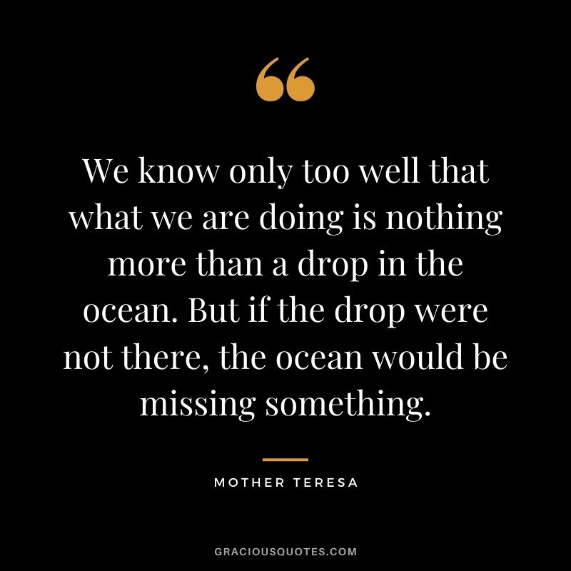 We know only too well that what we are doing is nothing more than a drop in the ocean. But if the drop were not there, the ocean would be missing something. - Mother Teresa