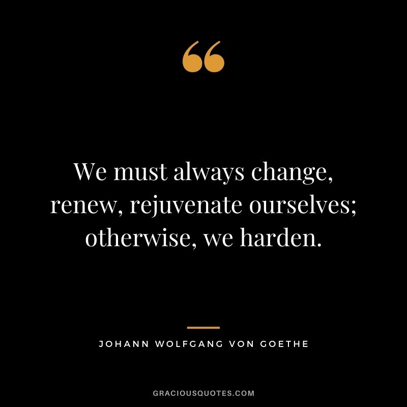 We must always change, renew, rejuvenate ourselves; otherwise, we harden.