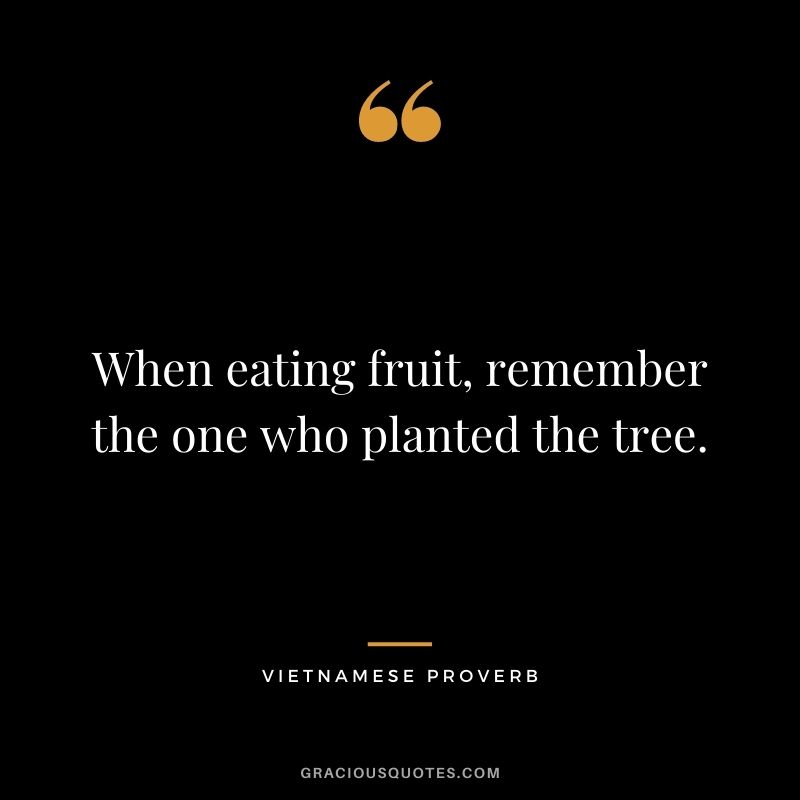 When eating fruit, remember the one who planted the tree. - Vietnamese Proverb