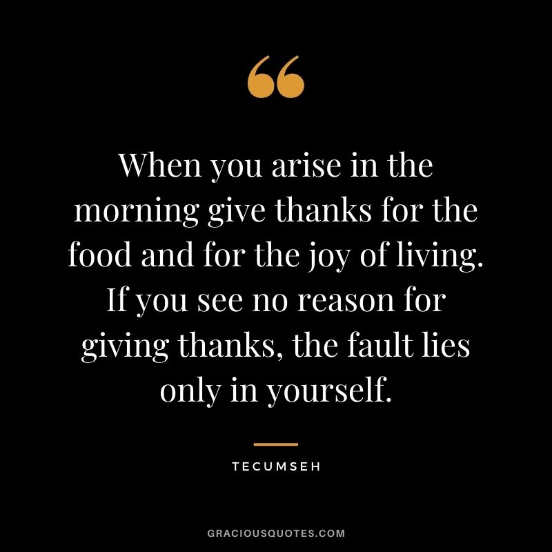 When you arise in the morning give thanks for the food and for the joy of living. If you see no reason for giving thanks, the fault lies only in yourself. - Tecumseh