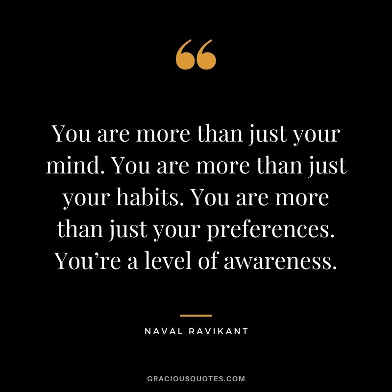 You are more than just your mind. You are more than just your habits. You are more than just your preferences. You’re a level of awareness. - Naval Ravikant