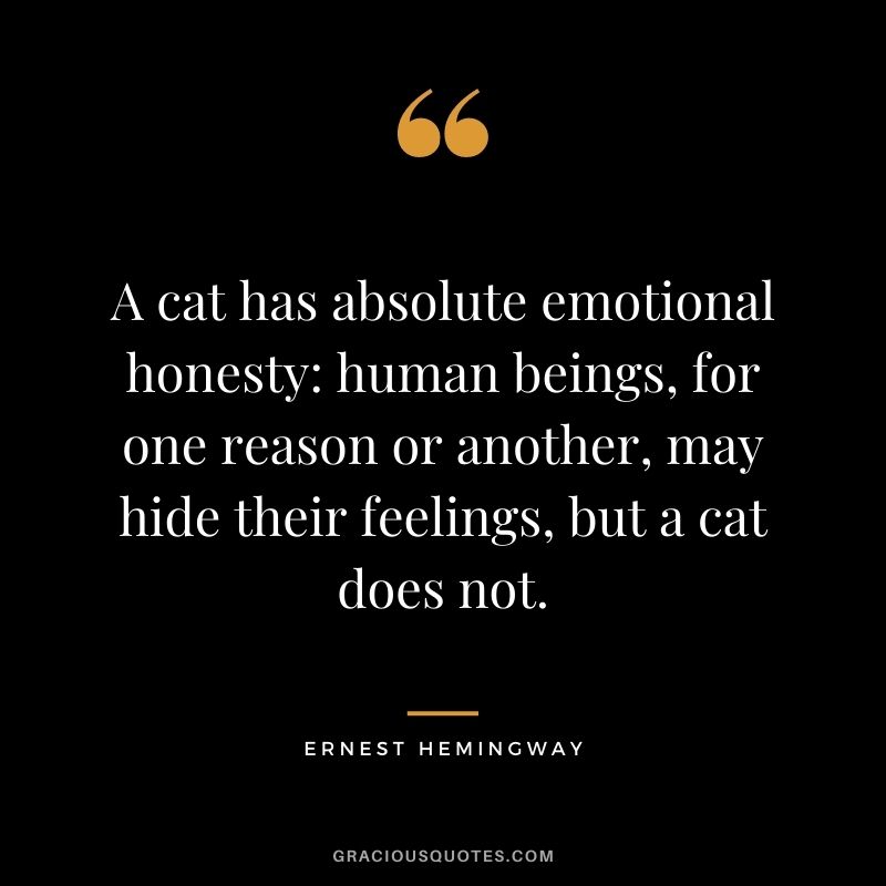 A cat has absolute emotional honesty: human beings, for one reason or another, may hide their feelings, but a cat does not.