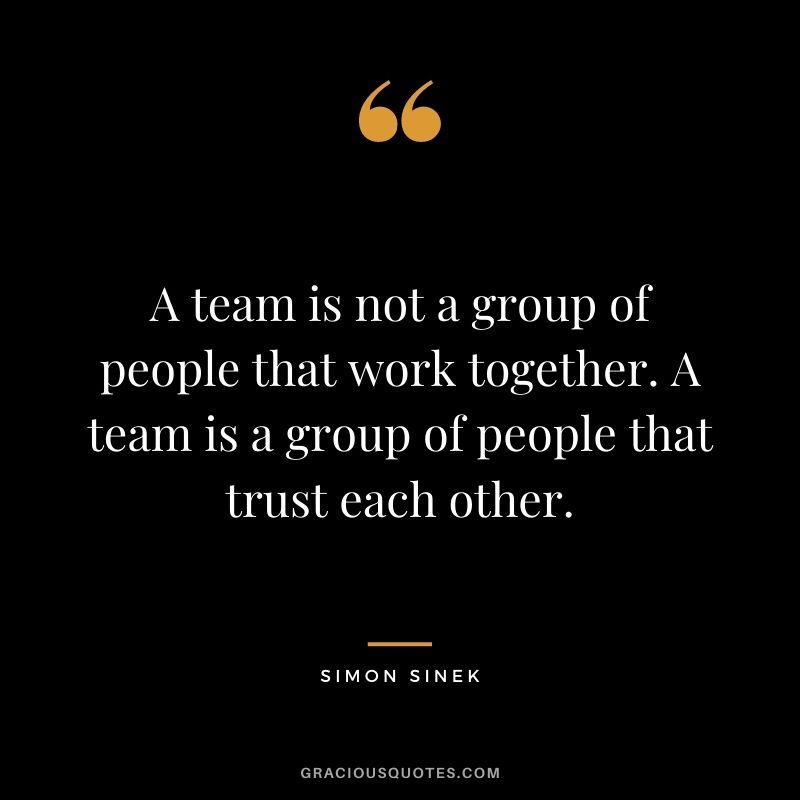 A team is not a group of people that work together. A team is a group of people that trust each other.