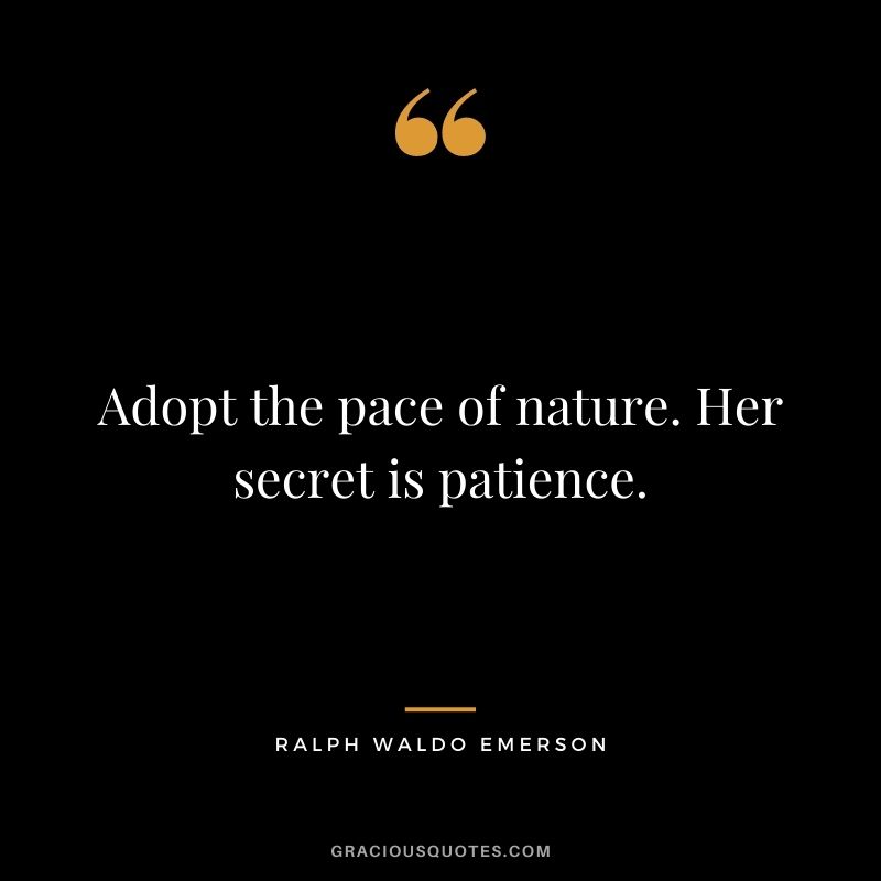 Adopt the pace of nature. Her secret is patience. - Ralph Waldo Emerson