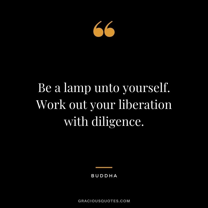 Be a lamp unto yourself. Work out your liberation with diligence. - Buddha
