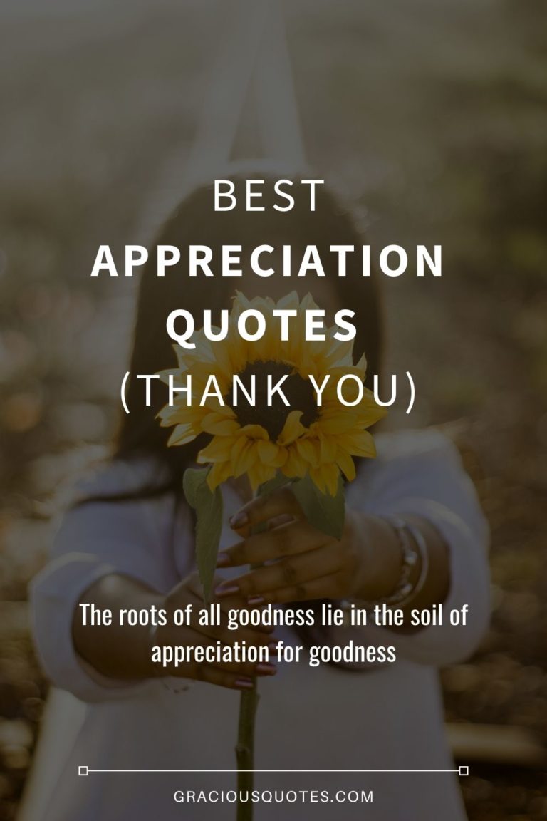 appreciation quotes for good presentation