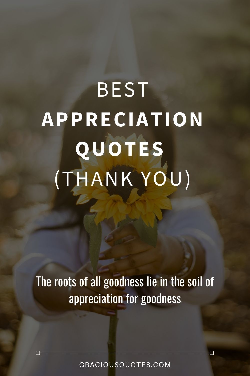 Best Appreciation Quotes (THANK YOU) - Gracious Quotes