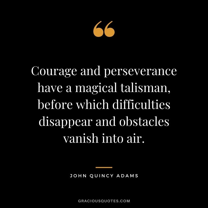 Courage and perseverance have a magical talisman, before which difficulties disappear and obstacles vanish into air. - John Quincy Adams