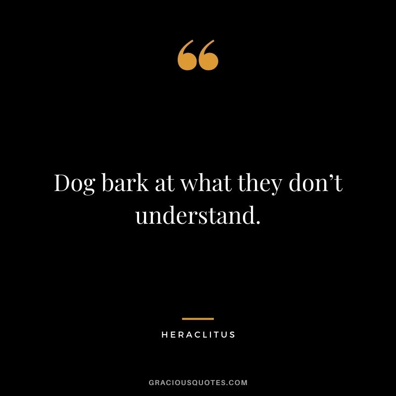 Dog bark at what they don’t understand.
