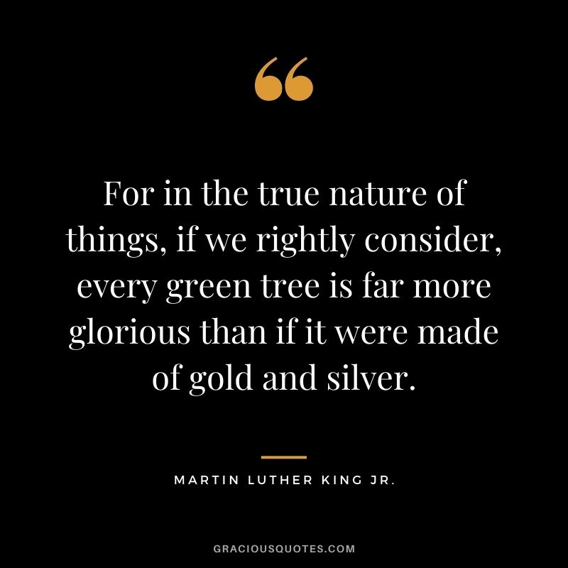For in the true nature of things, if we rightly consider, every green tree is far more glorious than if it were made of gold and silver. - Martin Luther King Jr.