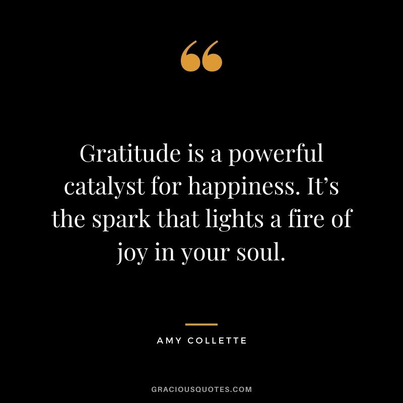 Gratitude is a powerful catalyst for happiness. It’s the spark that lights a fire of joy in your soul. - Amy Collette