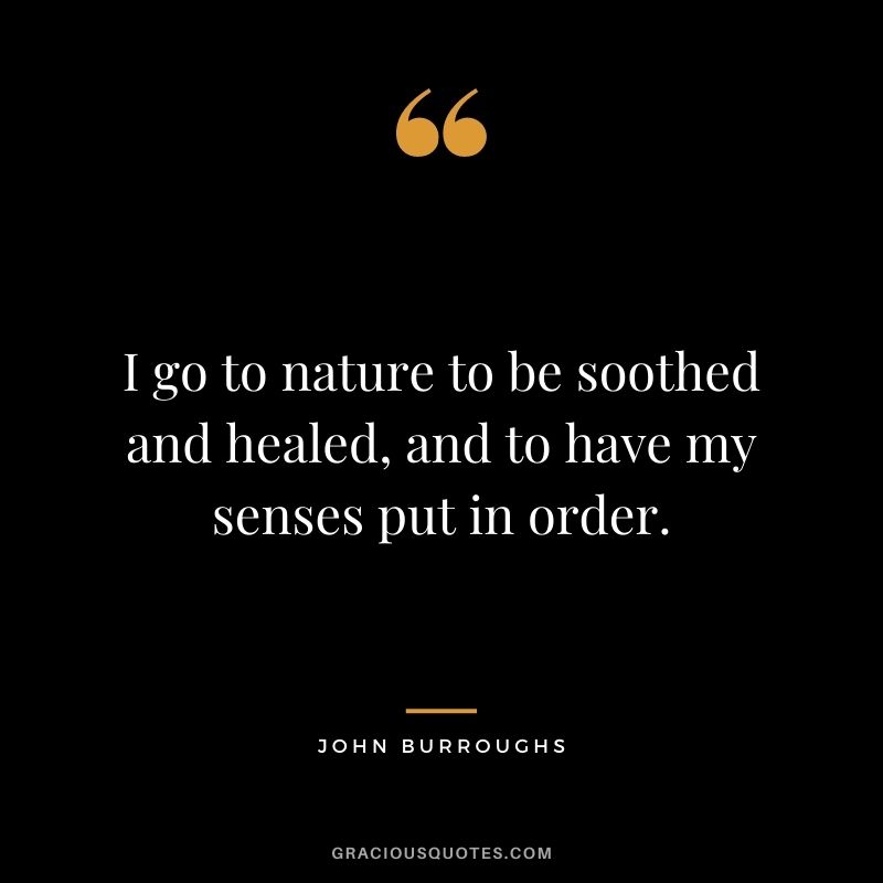 I go to nature to be soothed and healed, and to have my senses put in order. — John Burroughs