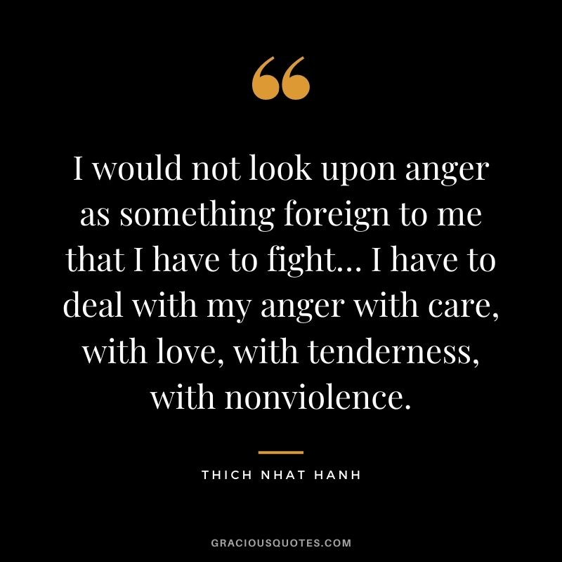 I would not look upon anger as something foreign to me that I have to fight… I have to deal with my anger with care, with love, with tenderness, with nonviolence.