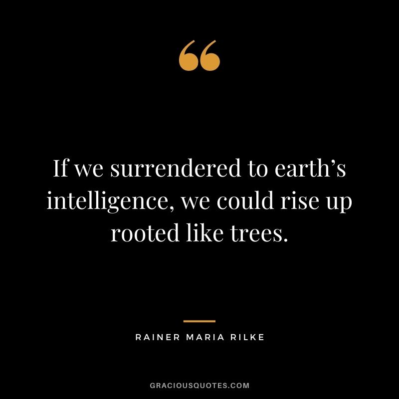 If we surrendered to earth’s intelligence, we could rise up rooted like trees. - Rainer Maria Rilke