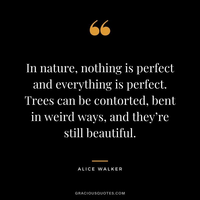 In nature, nothing is perfect and everything is perfect. Trees can be contorted, bent in weird ways, and they’re still beautiful. – Alice Walker