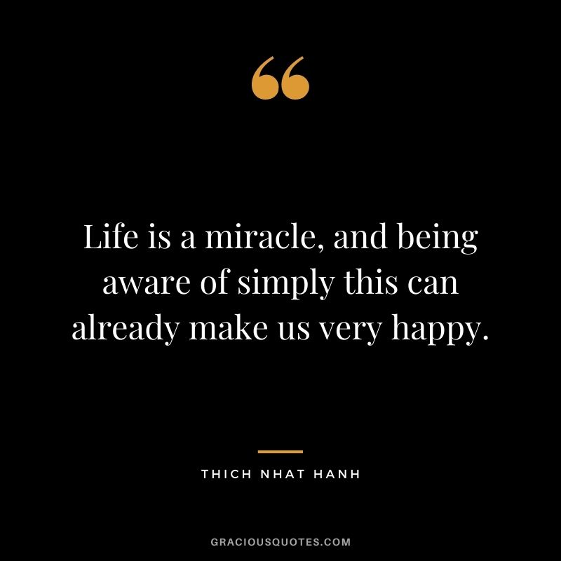 Life is a miracle, and being aware of simply this can already make us very happy.