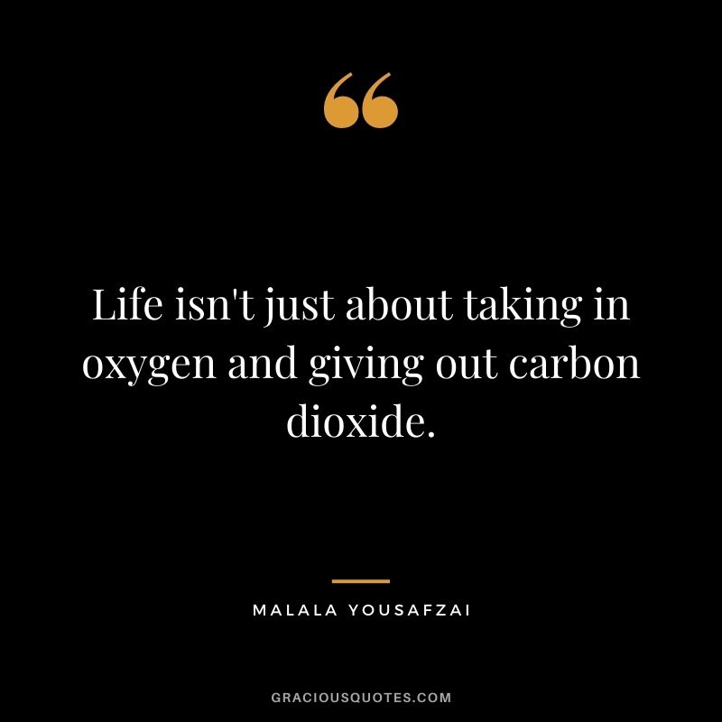 Life isn't just about taking in oxygen and giving out carbon dioxide.
