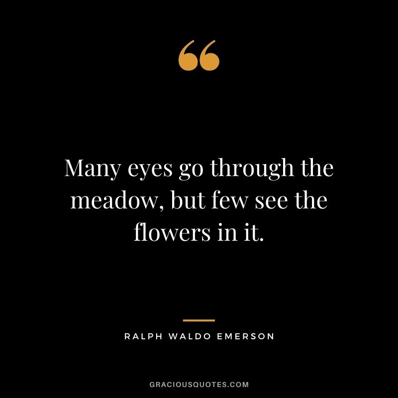 Many eyes go through the meadow, but few see the flowers in it. — Ralph Waldo Emerson