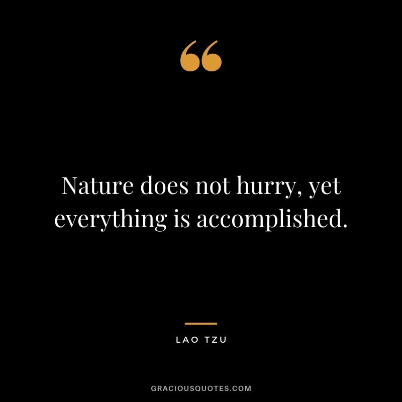 Nature does not hurry, yet everything is accomplished. - Lao Tzu