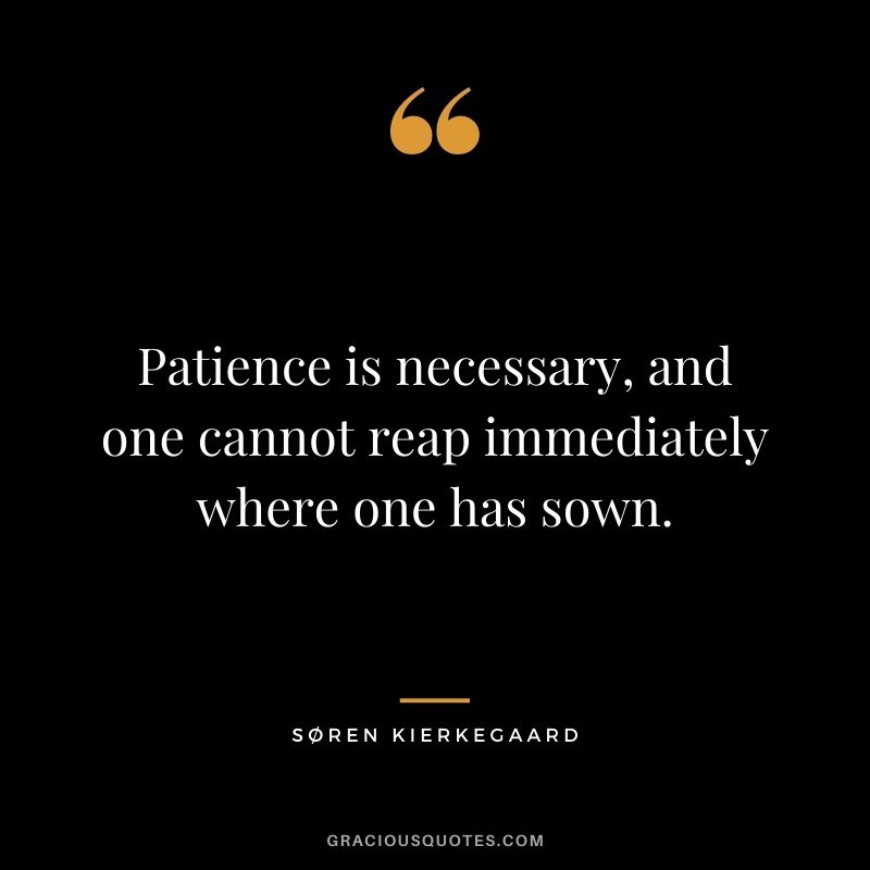 Patience is necessary, and one cannot reap immediately where one has sown.