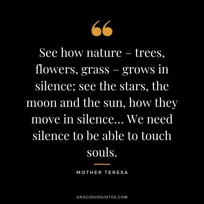 See how nature – trees, flowers, grass – grows in silence; see the stars, the moon and the sun, how they move in silence… We need silence to be able to touch souls. - Mother Teresa