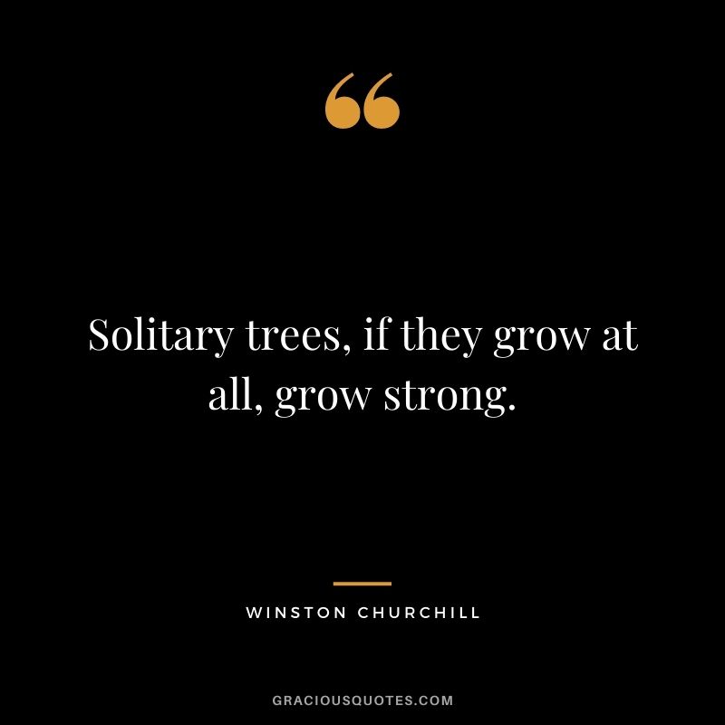 Solitary trees, if they grow at all, grow strong. — Winston Churchill