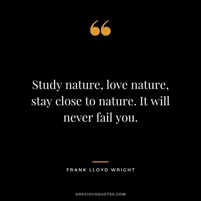 Study nature, love nature, stay close to nature. It will never fail you. - Frank Lloyd Wright