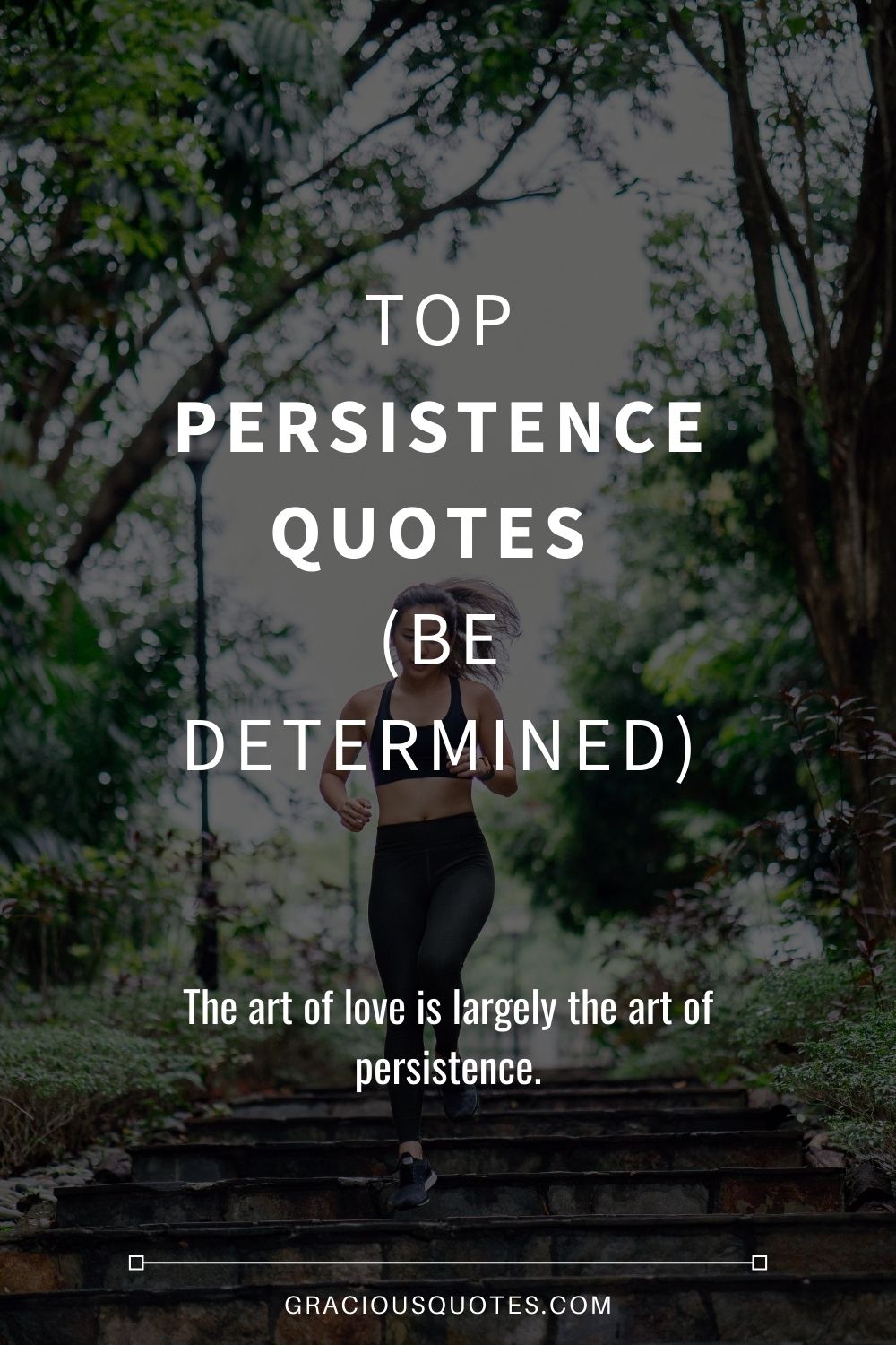Top Persistence Quotes (BE DETERMINED) - Gracious Quotes