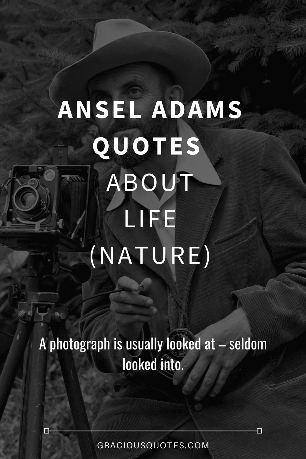 Ansel Adams Quotes About Life (NATURE) - Gracious Quotes