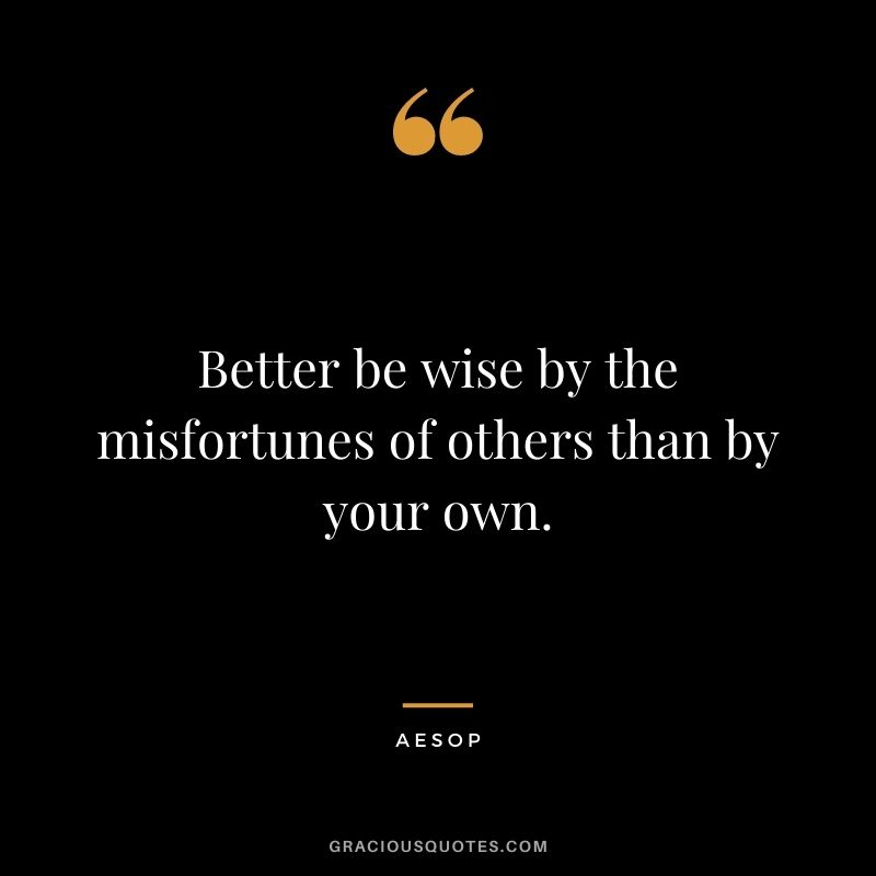 Better be wise by the misfortunes of others than by your own.