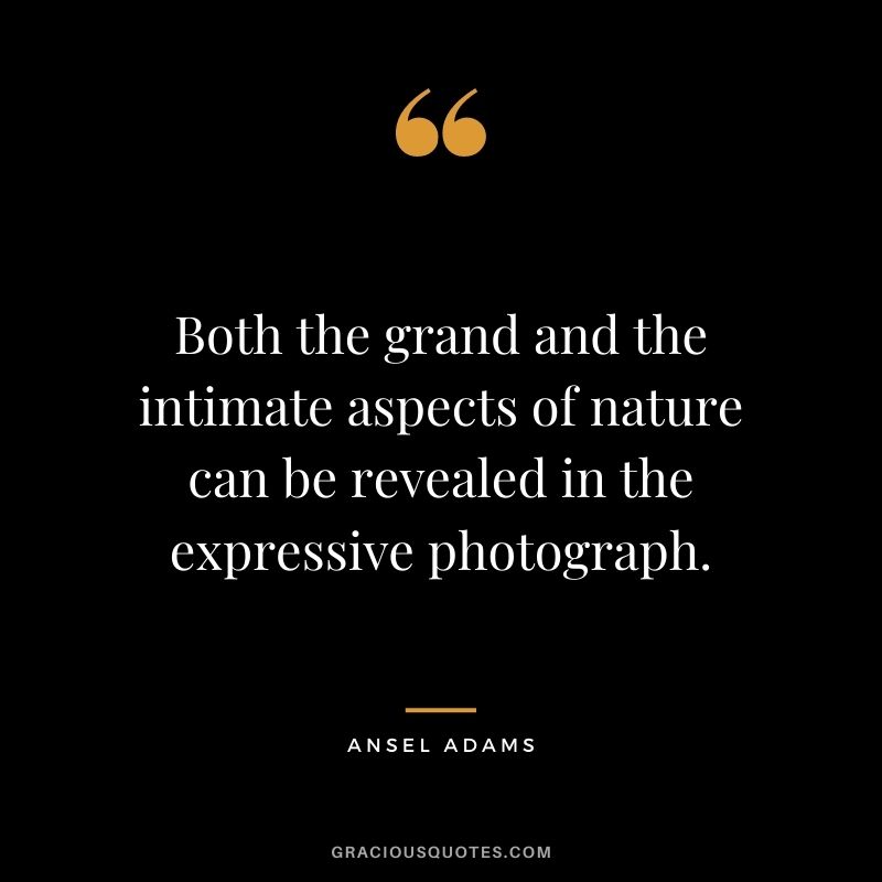Both the grand and the intimate aspects of nature can be revealed in the expressive photograph.