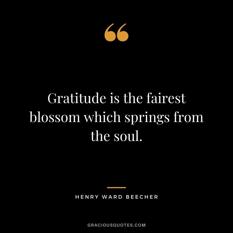Gratitude is the fairest blossom which springs from the soul.