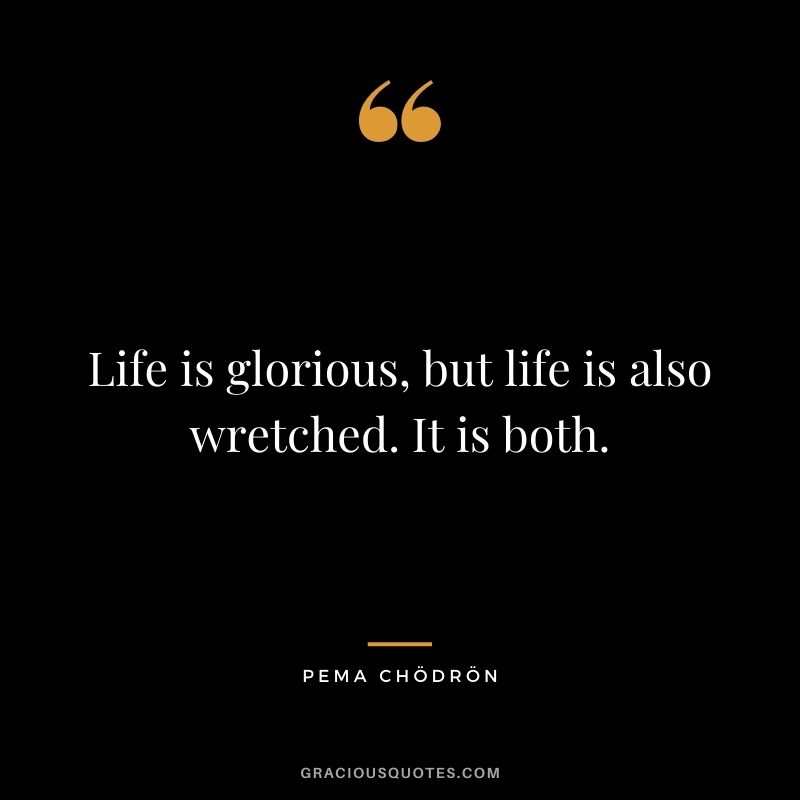 Life is glorious, but life is also wretched. It is both.