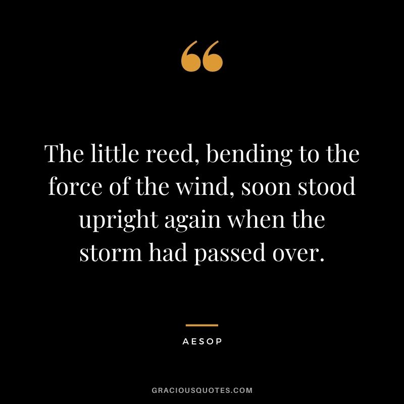 The little reed, bending to the force of the wind, soon stood upright again when the storm had passed over.