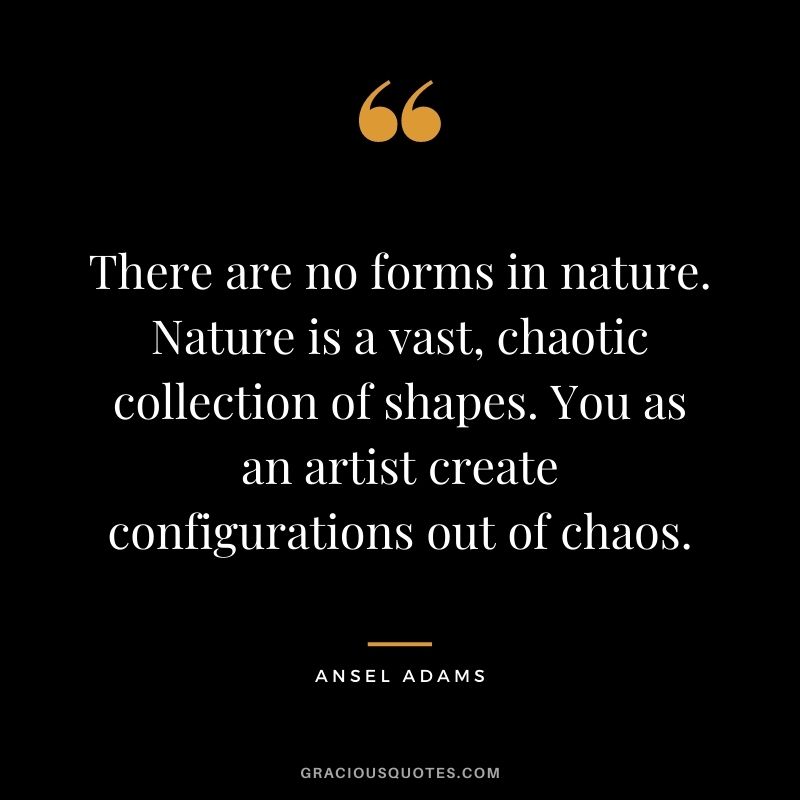 There are no forms in nature. Nature is a vast, chaotic collection of shapes. You as an artist create configurations out of chaos.