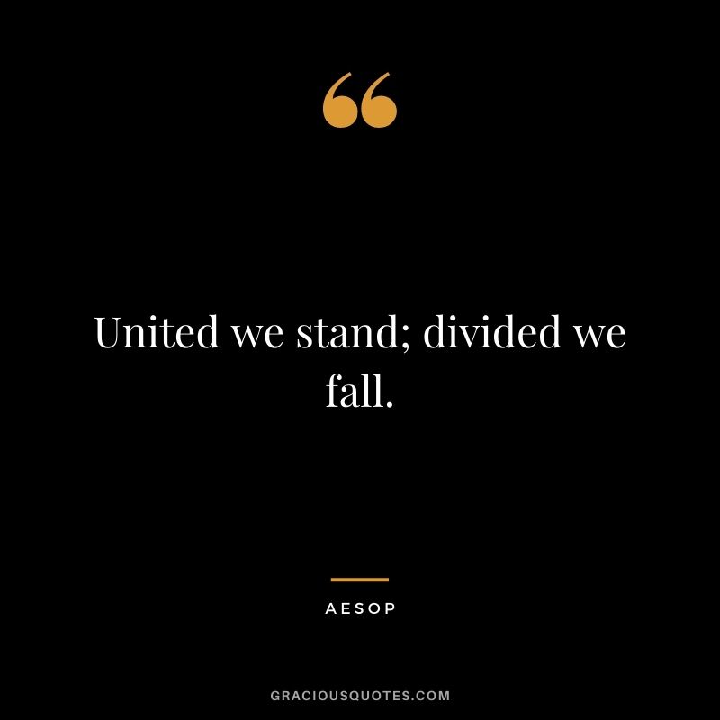 United we stand; divided we fall.