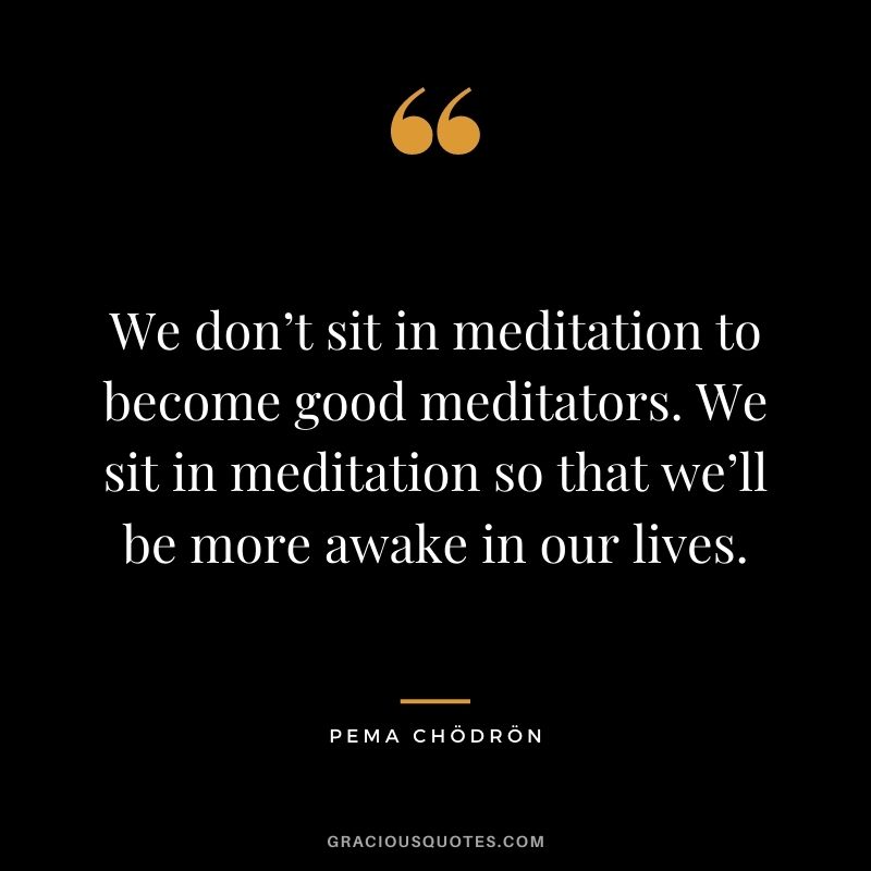 We don’t sit in meditation to become good meditators. We sit in meditation so that we’ll be more awake in our lives.