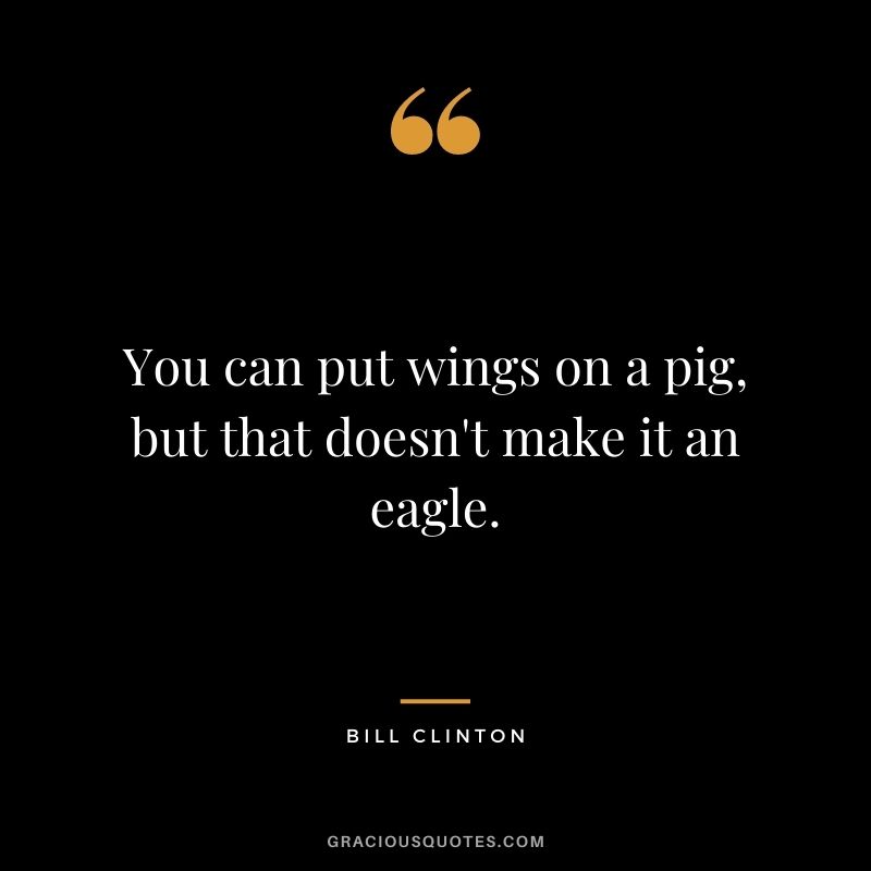 You can put wings on a pig, but that doesn't make it an eagle.