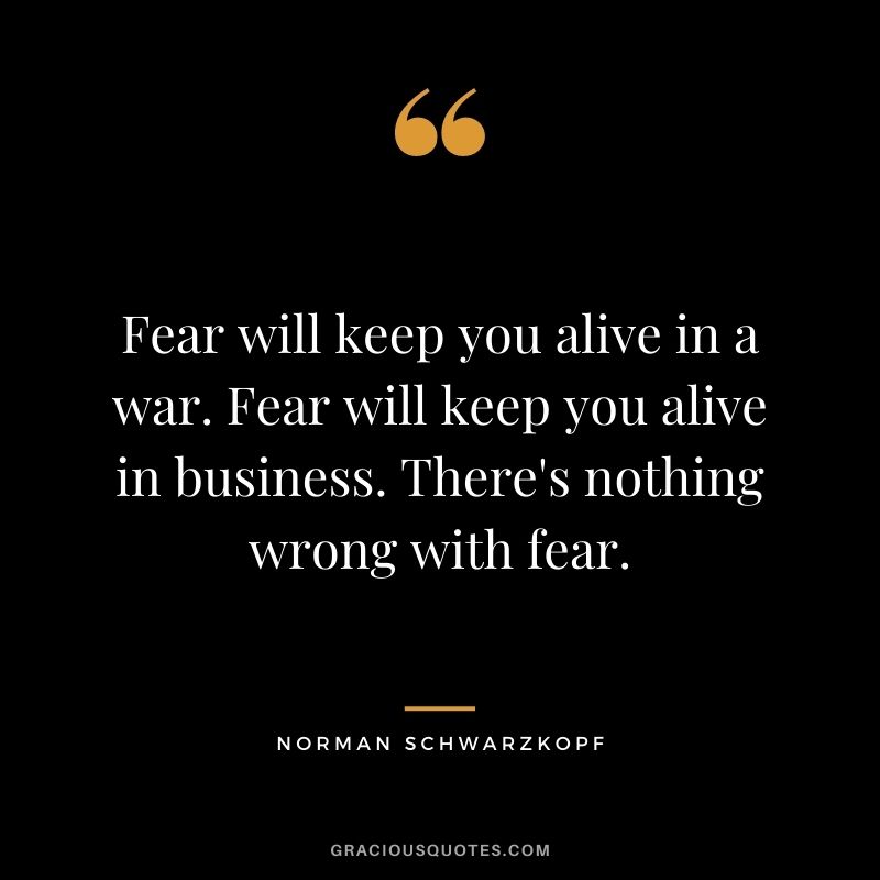 Fear will keep you alive in a war. Fear will keep you alive in business. There's nothing wrong with fear.