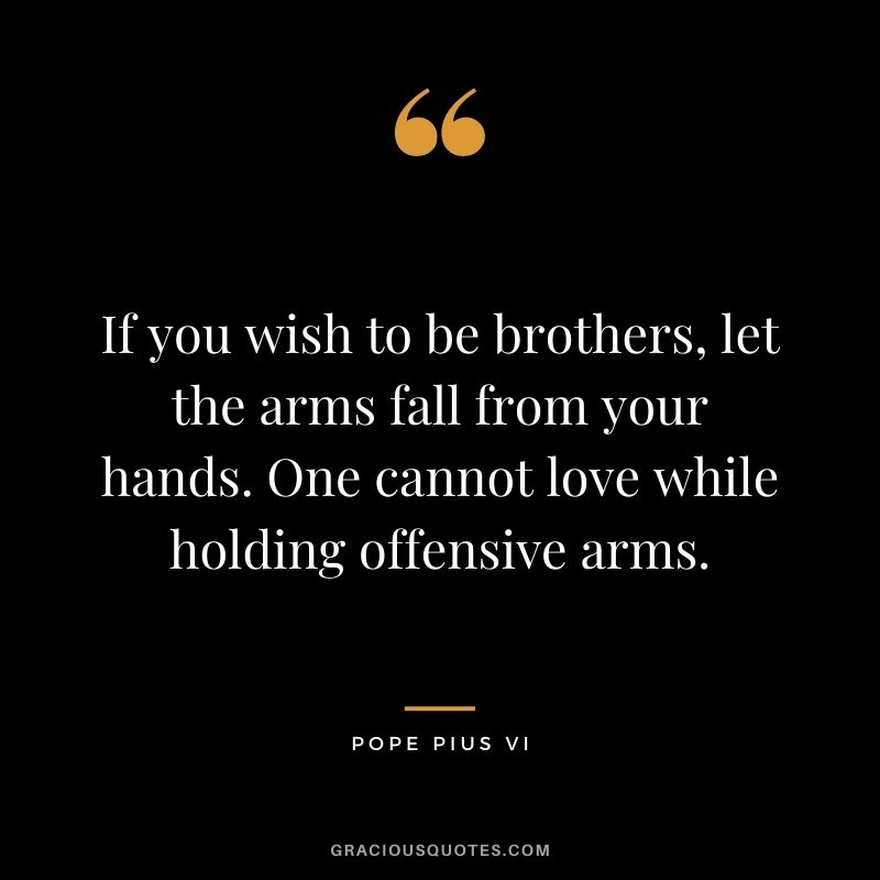 If you wish to be brothers, let the arms fall from your hands. One cannot love while holding offensive arms. ― Pope Pius VI