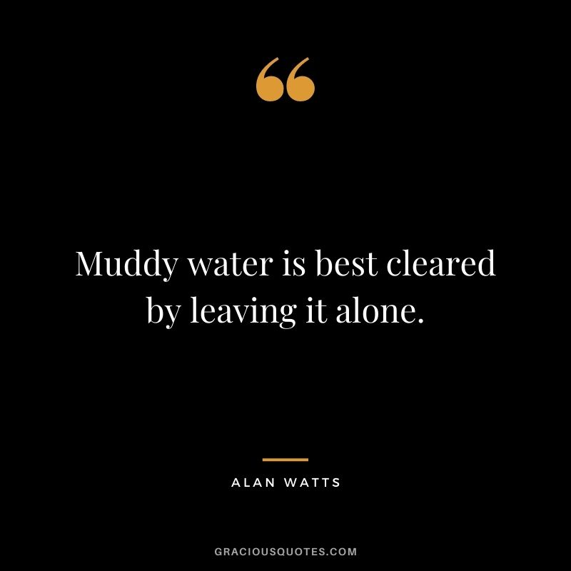Muddy water is best cleared by leaving it alone.