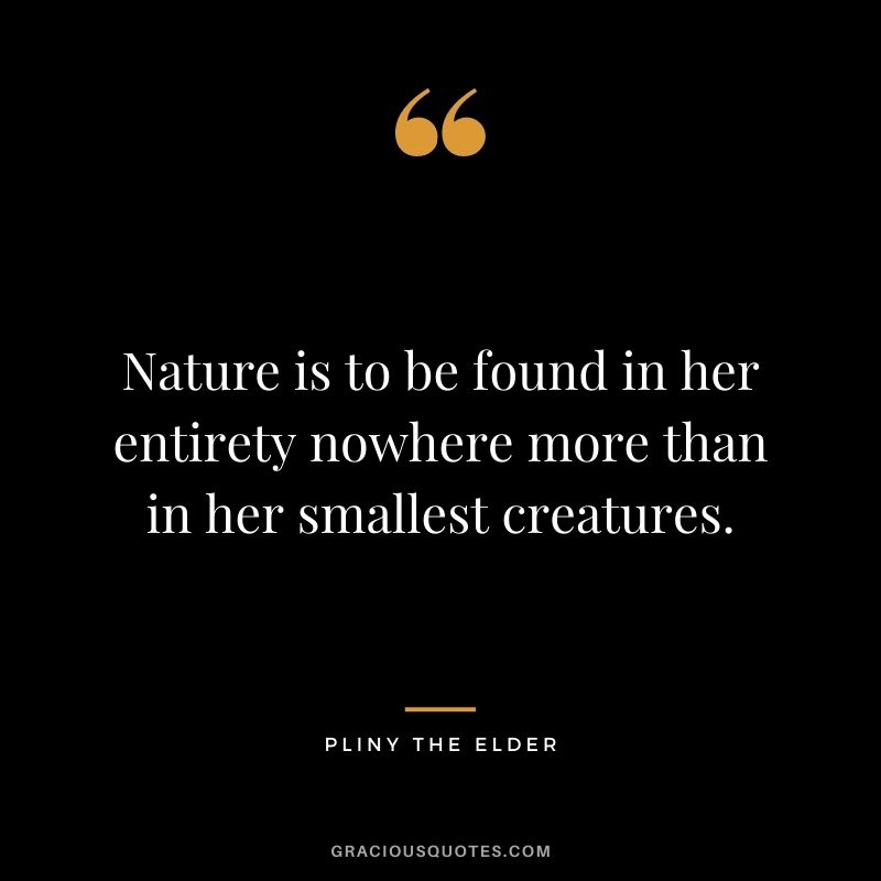 Nature is to be found in her entirety nowhere more than in her smallest creatures.